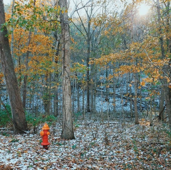 Meet your Posher, Nate - Picture 1 of 1